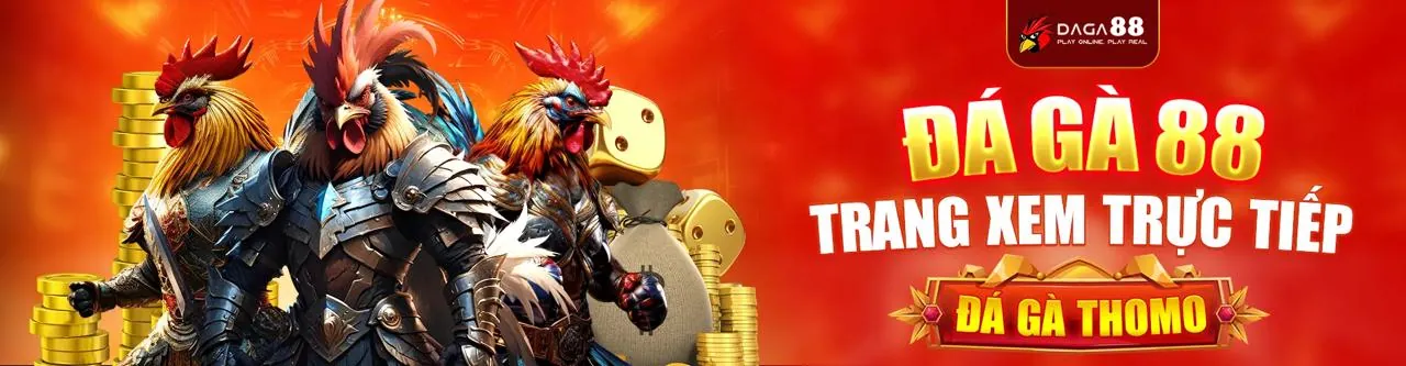 Đá gà trực tiếp đầy kịch tính tại daga888